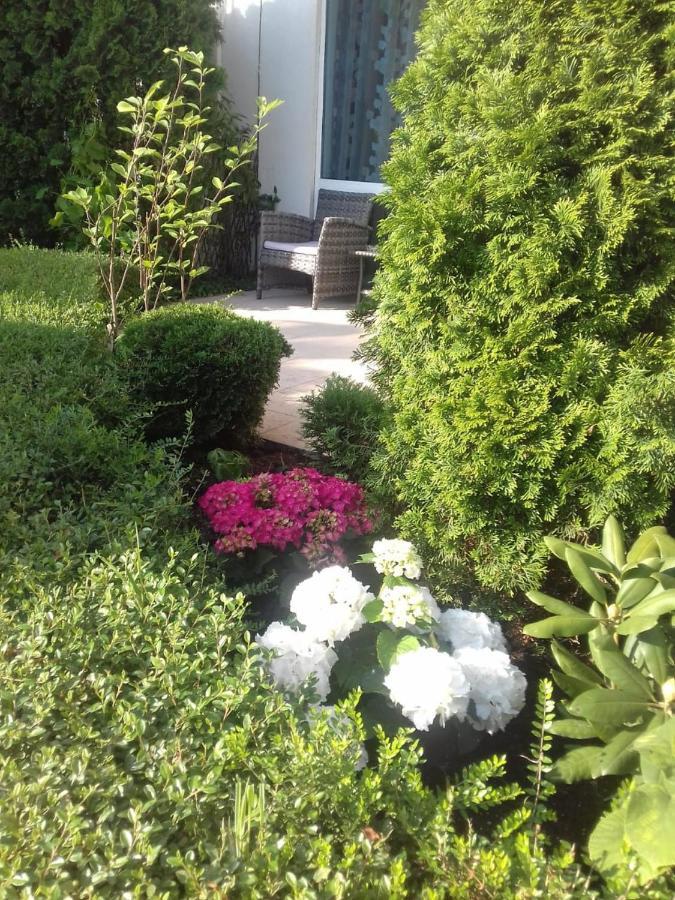 Apartment With Green Terrace بورغاس المظهر الخارجي الصورة